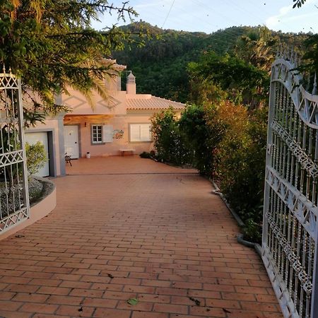 Casa Loureiro - Vista Rio Douro Villa Resende Buitenkant foto