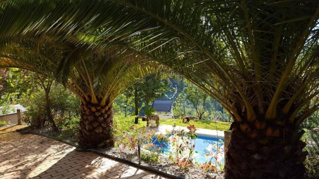Casa Loureiro - Vista Rio Douro Villa Resende Buitenkant foto