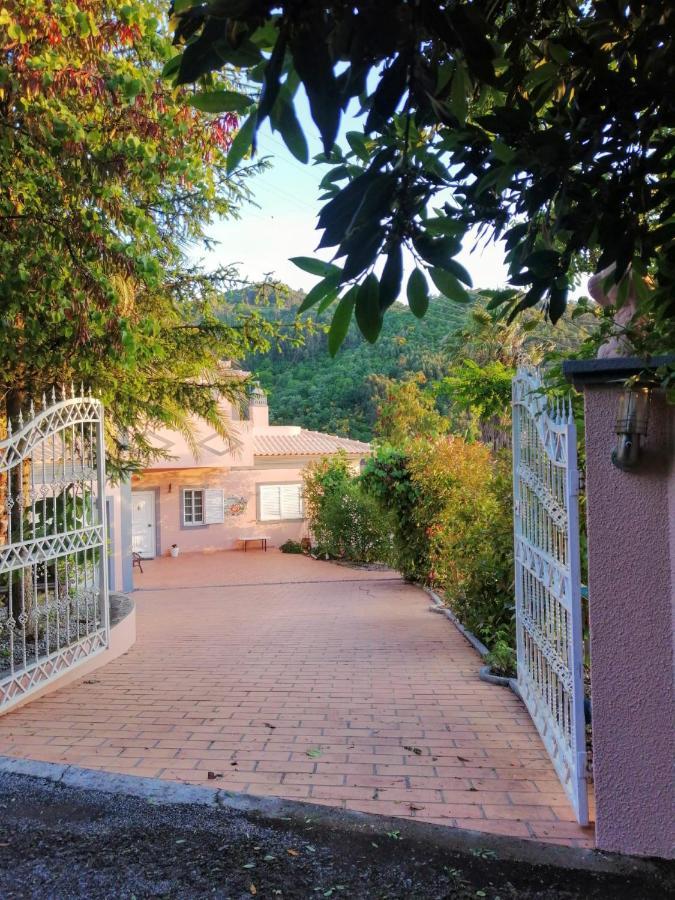 Casa Loureiro - Vista Rio Douro Villa Resende Buitenkant foto