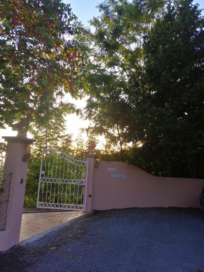 Casa Loureiro - Vista Rio Douro Villa Resende Buitenkant foto