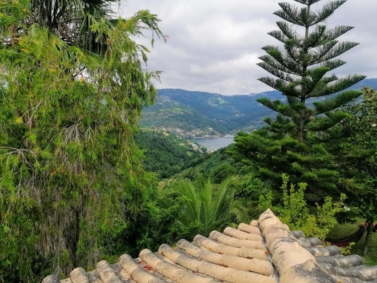 Casa Loureiro - Vista Rio Douro Villa Resende Buitenkant foto
