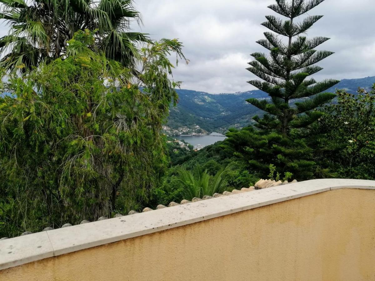 Casa Loureiro - Vista Rio Douro Villa Resende Buitenkant foto