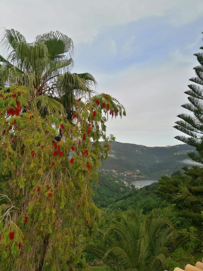 Casa Loureiro - Vista Rio Douro Villa Resende Buitenkant foto