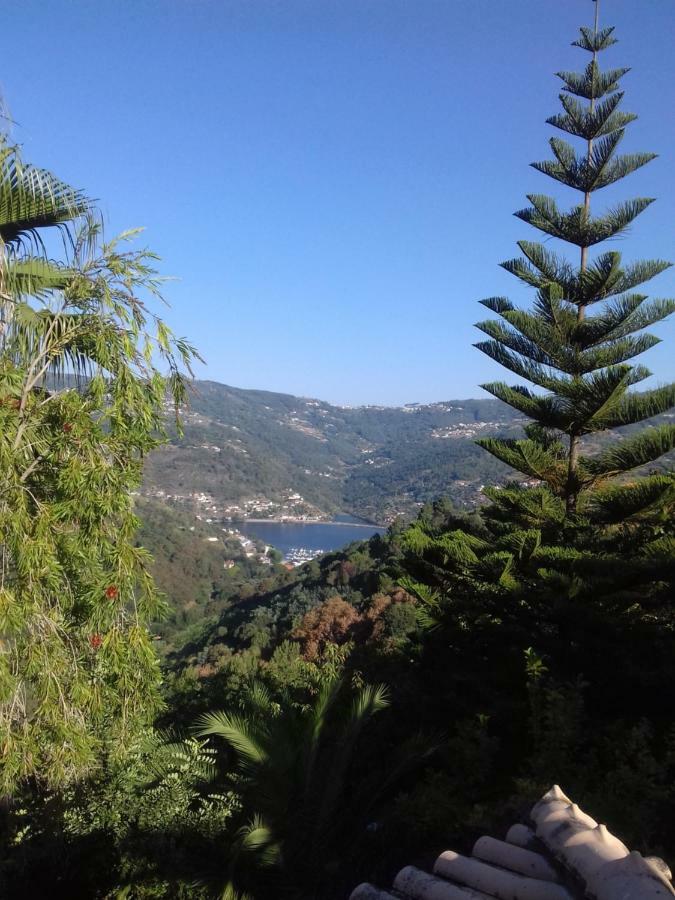 Casa Loureiro - Vista Rio Douro Villa Resende Buitenkant foto